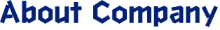 About Company